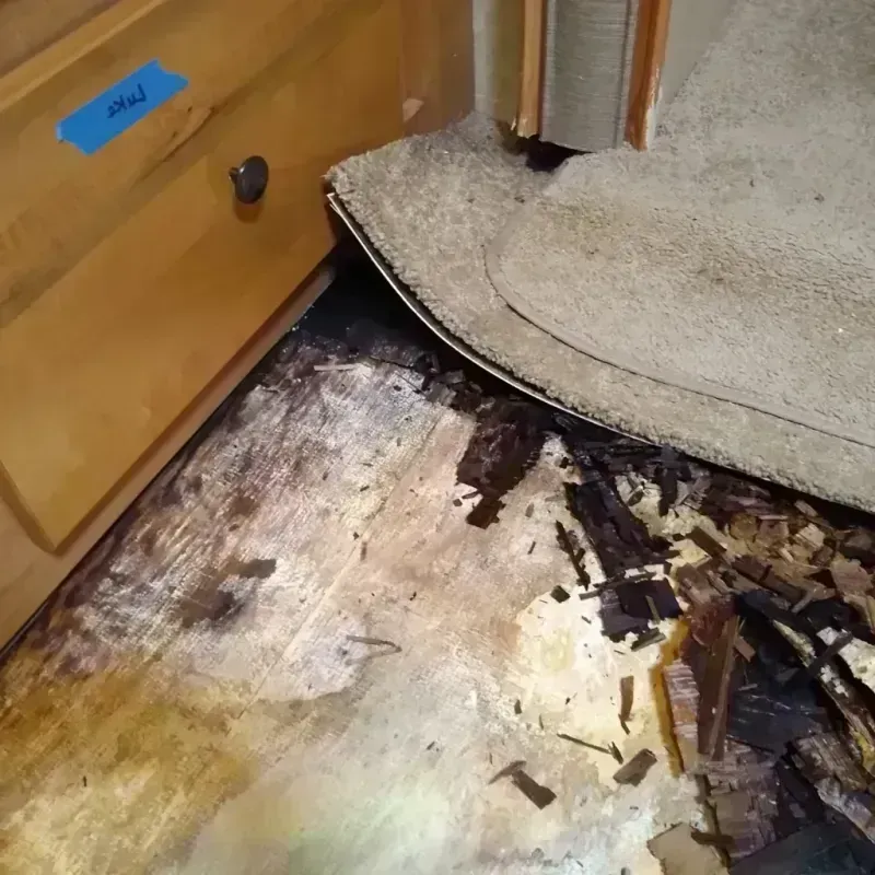 Best Wood Floor Water Damage Service in Gateway, FL